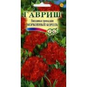 Гвоздика Морковный Король Гренадин,садовая