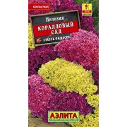 Целозия Коралловый Сад Гребенчатая