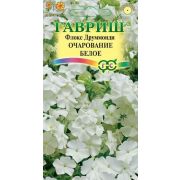 Флокс Очарование Белое 0,05гр