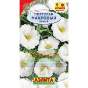 Портулак Белый Махровый