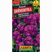 Левкой Дюймовочка Карликовый Фиолетовый 0,1 гр