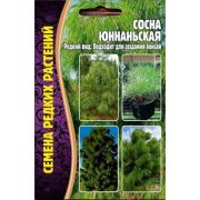 Сосна Юннаньская 25 шт