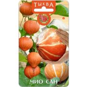 Тыква Чио Сан 6 шт