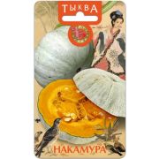 Тыква Накамура 6 шт