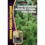 Сосна Карликовая Кедровый Стланик 5 шт