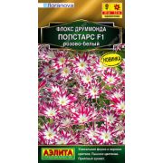 Флокс Попстарс Розово-Белый 5 шт