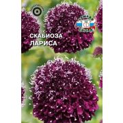 Скабиоза Лариса 0,1 гр