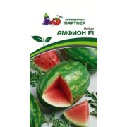Арбуз Амфион 5шт