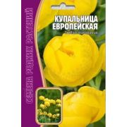 Купальница Европейская многолетник 20шт