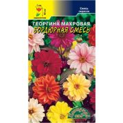 Георгина Бордюрная Смесь 0,2 гр