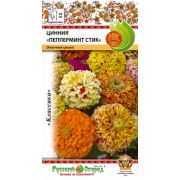 Цинния Пепперминт Стик 30шт